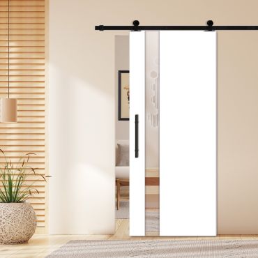 Flush Sliding Barn Door (Mirror/Colored Option Glass Insert) CCD-1283