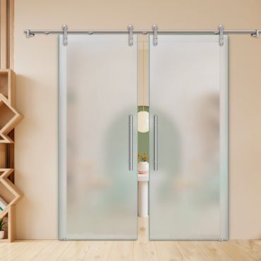 Double Sliding Barn Glass Door ALU100 ASB2-0235