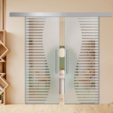 Double Sliding Barn Glass Door ALU100 ASB2-2003