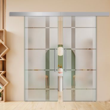 Double Sliding Barn Glass Door ALU100 ASB2-2006