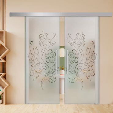 Double Sliding Barn Glass Door ALU100 ASB2-2009