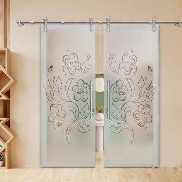 Double Sliding Barn Glass Door ALU100 ASB2-2009