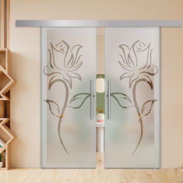 Double Sliding Barn Glass Door ALU100 ASB2-2011