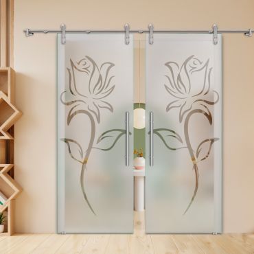 Double Sliding Barn Glass Door ALU100 ASB2-2011