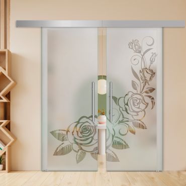 Double Sliding Barn Glass Door ALU100 ASB2-2012