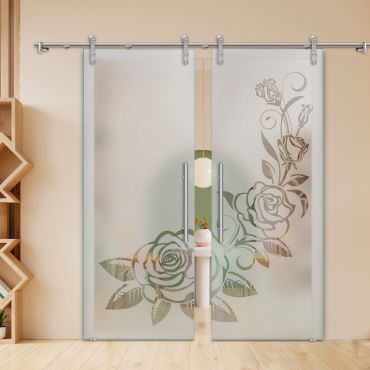 Double Sliding Barn Glass Door ALU100 ASB2-2012