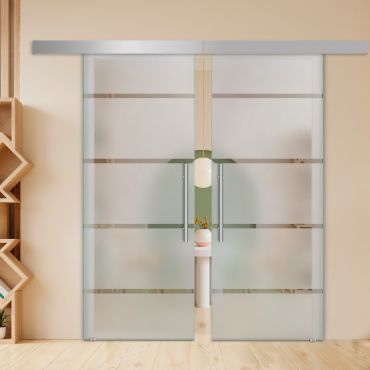 Double Sliding Barn Glass Door ALU100 ASB2-0236