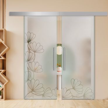 Double Sliding Barn Glass Door ALU100 ASB2-2013