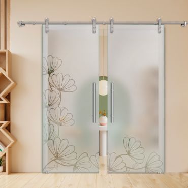 Double Sliding Barn Glass Door ALU100 ASB2-2013