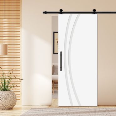 Flush Sliding Barn Door with CNC Engraving CCD-1274