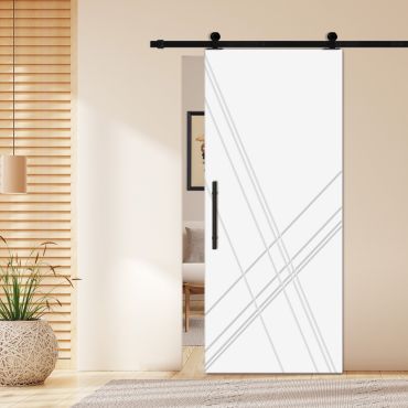 Flush Sliding Barn Door with CNC Engraving CCD-1286