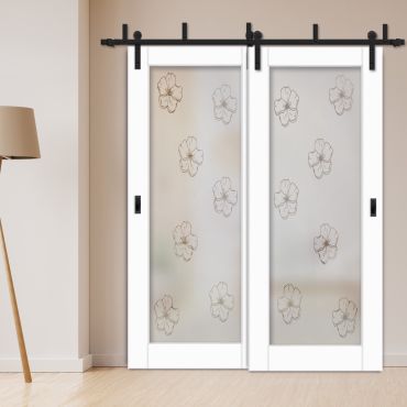 2 Leaf Sliding Barn Bypass Doors with Glass Insert BGD-1137