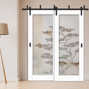 2 Leaf Sliding Barn Bypass Doors with Glass Insert BGD-0395