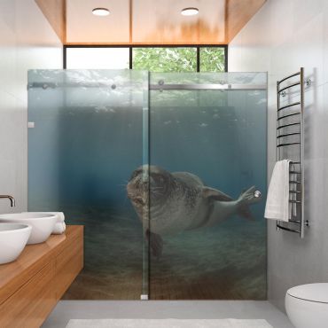 Digital Printing Shower Glass Sliding Doors Dgsd - 0711