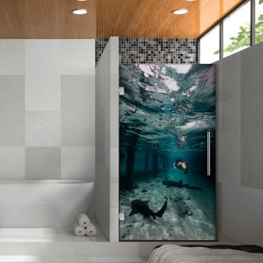 Digital Printing Frameless Glass Shower Door & Starfish Design Dpgd - 0730