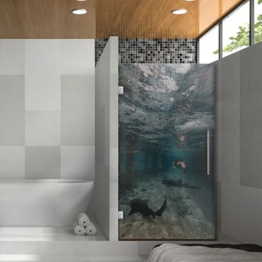 Digital Printing Frameless Glass Shower Door & Starfish Design Dpgd - 0730