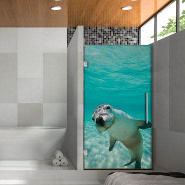 Digital Printing Frameless Glass Shower Door & Starfish Design Dpgd - 0739