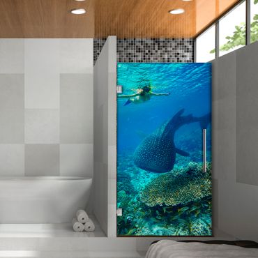 Digital Printing Frameless Glass Shower Door & Starfish Design Dpgd - 0735