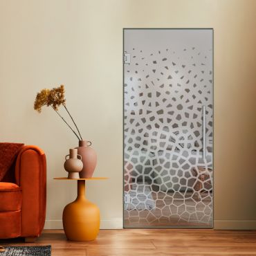 Swing, Hinged and Pivot Glass Door SHP-0543