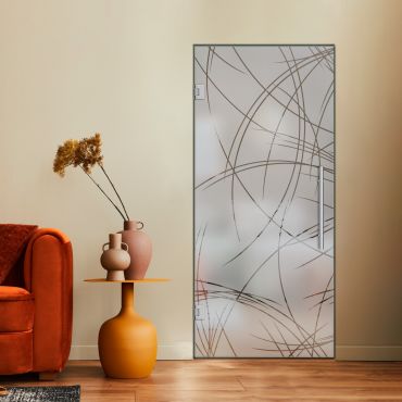 Swing, Hinged and Pivot Glass Door SHP-0493