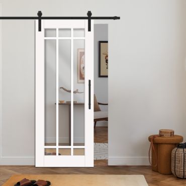 Sliding Barn Door French Style with Mirror Insert VWGD-0855